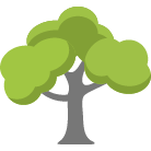 New Smyrna Beach Tree Removal