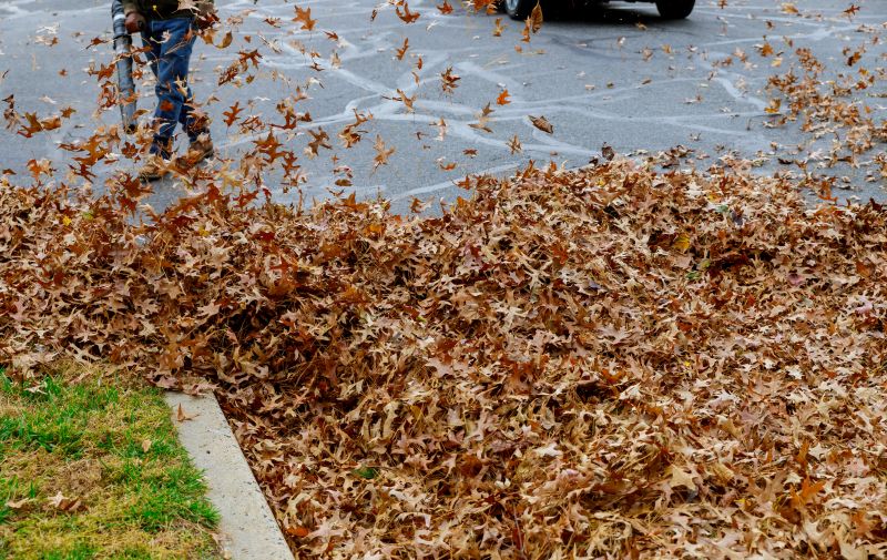 Cleaned Outdoor Spaces