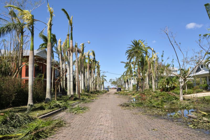 Storm Debris