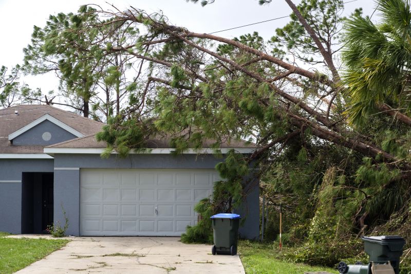 Tree on Roof
