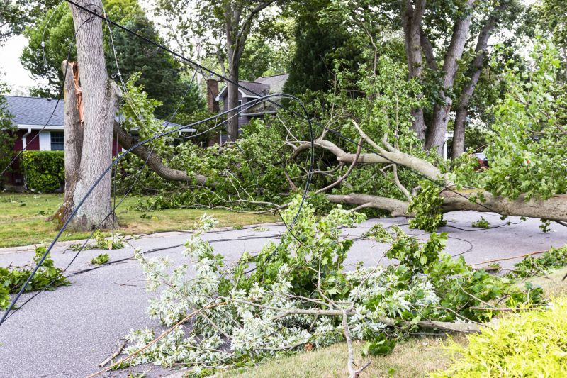 Blocked Driveway