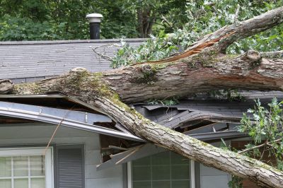 Storm Damage Scene