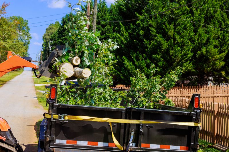 Spring Tree Removal