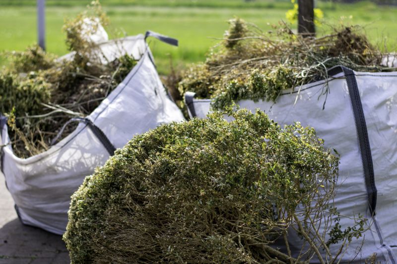 Post-Removal Landscape Cleanup