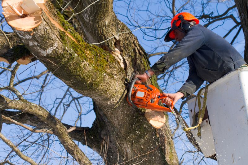 Common Pitfall to Avoid
