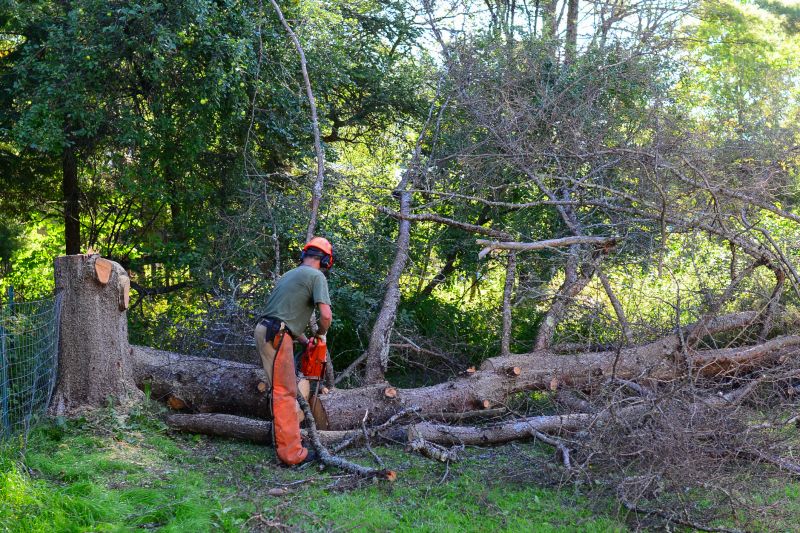 Tree Health and Timing