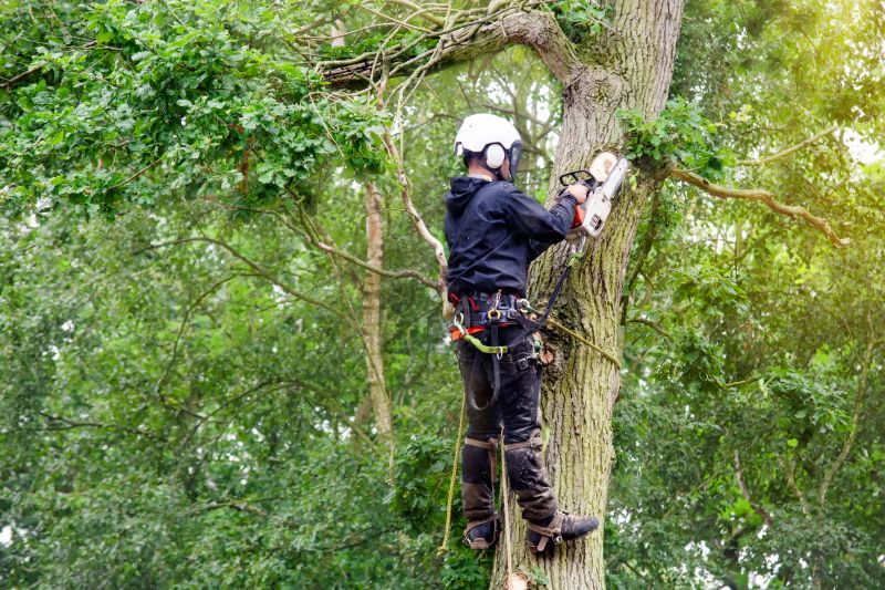Licensed Arborists